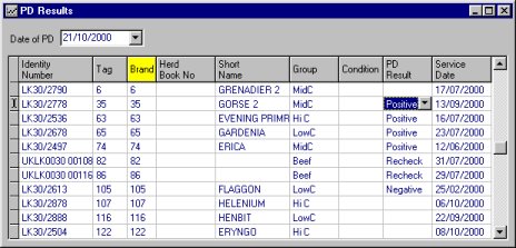 pd_result.jpg (36151 bytes)