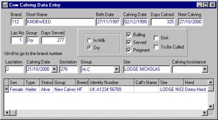 calving.jpg (29879 bytes)