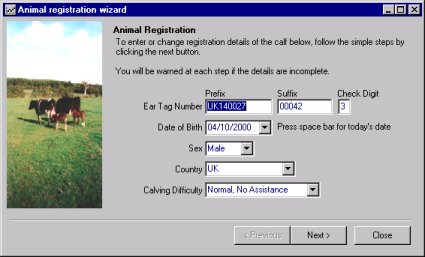 An_reg_wiz1.jpg (23510 bytes)