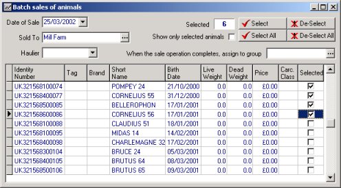 sales.jpg (45726 bytes)