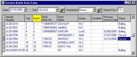 service_batch.jpg (33145 bytes)